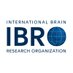 IBRO - International Brain Research Organization (@IBROorg) Twitter profile photo