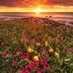 LoveU_Nature (@loveu_nature) Twitter profile photo LoveU_Nature (@loveu_nature) Twitter profile photo
