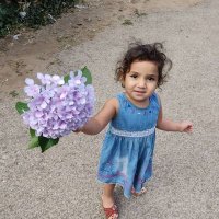 Abdullah Anan (@abubahranan) Twitter profile photo
