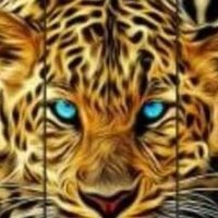 ayaz (@ayazayaz123456s) 's Twitter Profile