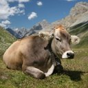 Scott Collar - @ScottCollar - Twitter