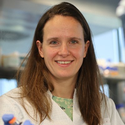 PostDoc @JGarciaArriaza Lab | CNB | Immunology | Vaccines | Feminist | Mom (She/Her)