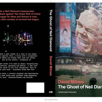 DavidMilnes15's profile picture. "Bleak but impressive" TLS. Author of The Ghost of Neil Diamond, The Pathology of Graphology (audiobook sample below); An English Airman foresees his Death + 3.