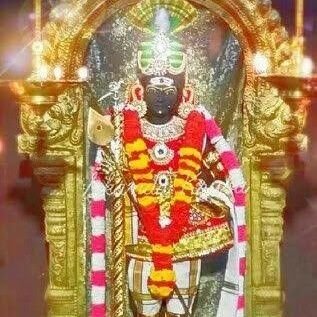 sekaranv155's profile picture. 