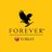 foreverturkeyhq's profile image