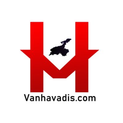 VAN HAVADİS