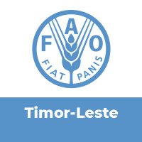 FAO in Timor Leste(@FAOTimorLeste) 's Twitter Profile Photo