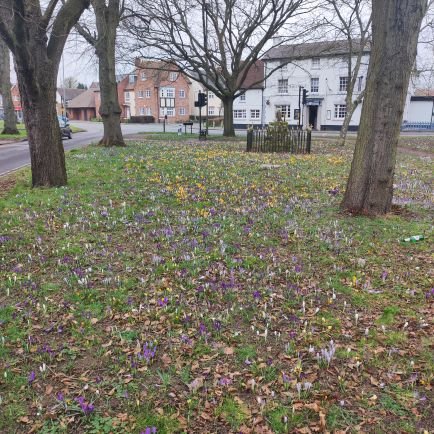 Green Space and Biodiversity Manager, Rugby Borough Council, all views expressed are my own. thanks.