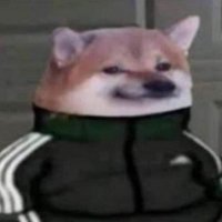 Vroum Vroum (@elvroumvroum) 's Twitter Profile