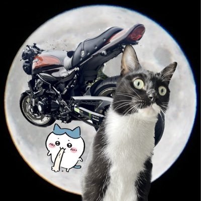 z900rs_fireball Profile Picture