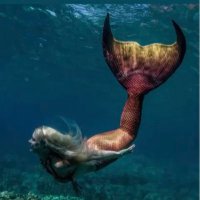 🧜🏻♀️Mermy🧜🏻♀️ (@rkmeeks7) 's Twitter Profile