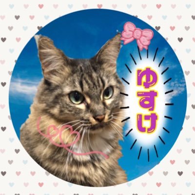 暇さえあれば絡みにいきます/エペやシージいろんなゲームします 燦/猫インスタ→https://t.co/2bE4NtA1kc