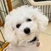 norma (@norma2627) Twitter profile photo norma (@norma2627) Twitter profile photo