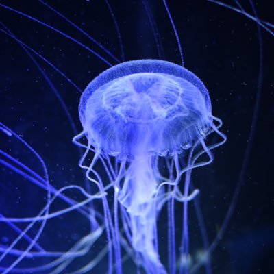 Spintires3's profile picture. 車輪は多ければ多い程いい。