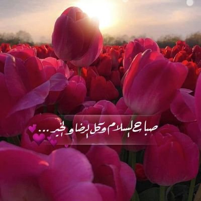 حبوب اجهاض للطلب والاستفسار على الواتس اب كاش الدفع والمتابعه خطوه بخطوه https://t.co/E9mutUeS4x