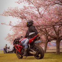 sc57乗りのはっしー🏂 (@yzf_r6_17_k) 's Twitter Profile