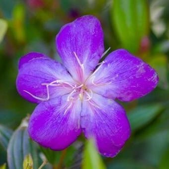 msk0925321's profile picture. 帝京平成大生・福祉コース
2年生
#帝京平成
#THU