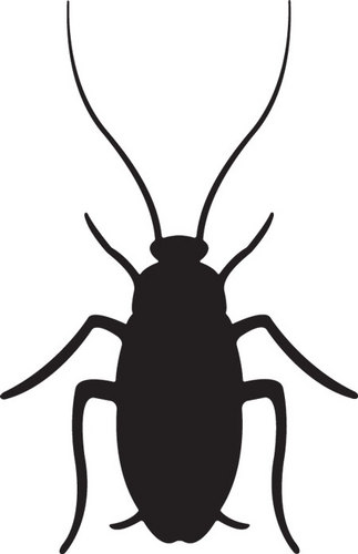 stevevdf's profile picture. Simple guy with a feet in the air and head to the ground. Movies, Literature, Toys, Japan, USA, Baseball, Basketball, Horror, Fantasy, Sci-fi, Videgames...