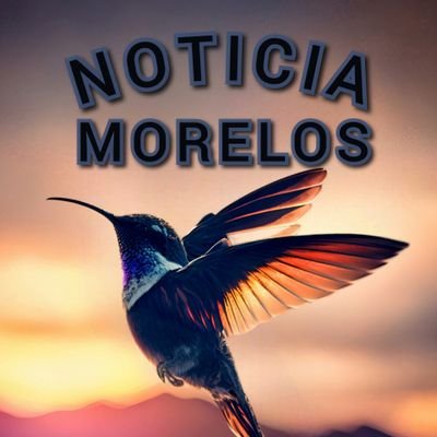 Noticias de Morelos
Información de Interés
Respondió el colibrí: 𝗬𝗼 𝘀é 𝗾𝘂𝗲 𝘀𝗼𝗹𝗼 𝗻𝗼 𝗽𝘂𝗲𝗱𝗼, 𝗽𝗲𝗿𝗼 𝗲𝘀𝘁𝗼𝘆 𝗵𝗮𝗰𝗶𝗲𝗻𝗱𝗼 𝗺𝗶 𝗽𝗮𝗿𝘁𝗲