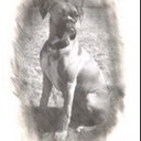 Debbie Schultz - @schultz1020 - Twitter