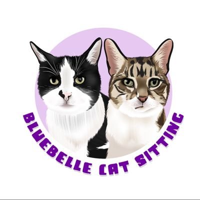 Professional experienced catsitter covering Stratford & Forest Gate
Bluebellecatsitting@gmail.com