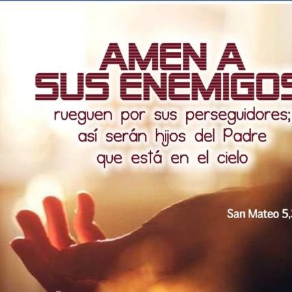 seguel87's profile picture. 