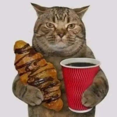 MaxMontante's profile picture. 