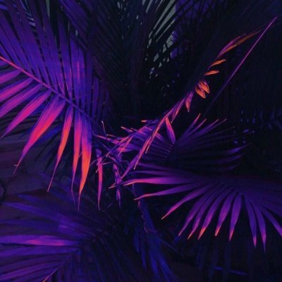 tekshopsbboD's profile picture. Content Maker. 
#CryptoMaster
#Ambassador of the Invarch project