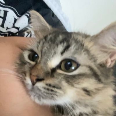 aThousandMyless's profile picture. everyday struggles of a millennial wife