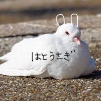 はとうさぎ(1) (@mi___masa0805) 's Twitter Profile