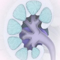 Indian Journal of Kidney Diseases (@ijkdwin) 's Twitter Profile Photo Indian Journal of Kidney Diseases (@ijkdwin) 's Twitter Profile Photo