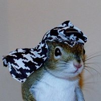 ghost denier (@coronarycommie) 's Twitter Profile Photo ghost denier (@coronarycommie) 's Twitter Profile Photo