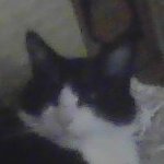 TannerSucksAtMC's profile picture. Developer of Game Dream Studio
Owner of Random Game Studio
I like drawing
I like jogging and running

E