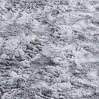 Maciek (@strongmartin3) 's Twitter Profile