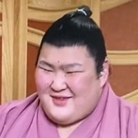相撲部 時の旅人(@kaiunupup) 's Twitter Profile Photo