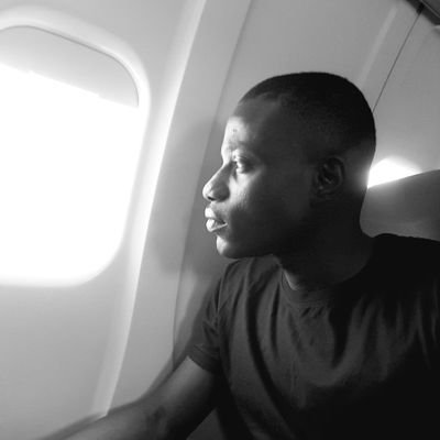 Chimkarifa Martins (R.Engr) Profile
