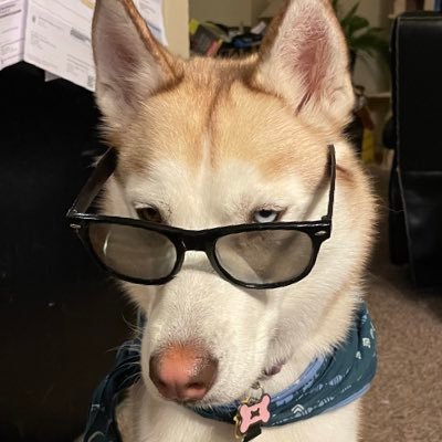 Imlearning1111's profile picture. 