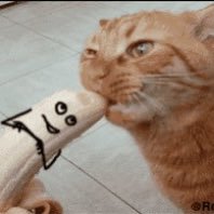 ManOnInterweb's profile picture. Twitter tweet