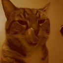 Loretta Morris - @Pixieret - Twitter