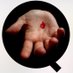 Not Op Cue (@notopcue) Twitter profile photo Not Op Cue (@notopcue) Twitter profile photo