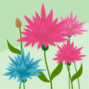 Dawn Coe - @Coe17Coe - Twitter