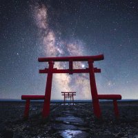 千豆 (@manuka_mgo) 's Twitter Profile