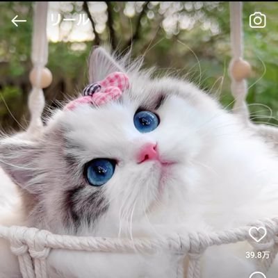 Satomi🎠🎠🎠さんのプロフィール画像