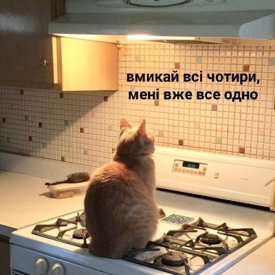 в житті вроді прікольна, а в твітері не виходить