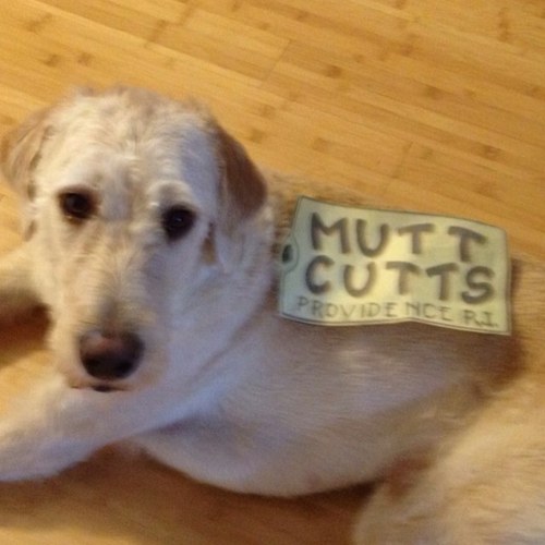 MattBaltsar's profile picture. IT consultant. Political junkie. Punk rock fan. Beach and ski bum.