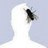 javiermaso's profile image