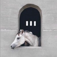 ᴴᴬ (@xhvmdv95) 's Twitter Profile Photo