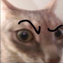 conndenelson's profile picture. 