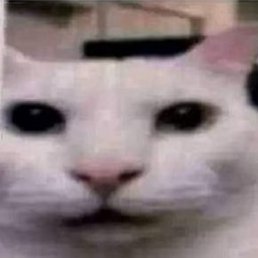 ekfabricio's profile picture. programador, eu acho.  sistemas de informacao no ifal