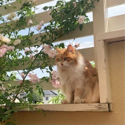 ohsylvo's profile picture. 23